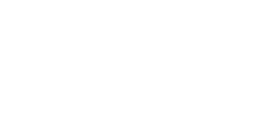 پائی-پی logo